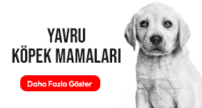 yavru-köpek-mamalari.jpg (25 KB)