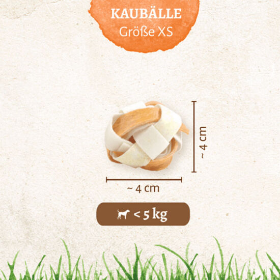 8in1 Delights Çiğneme Topu XS - 4'lü Top 36 Gr - 4