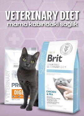 Veteriner Diyet