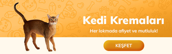 Kedi Kremaları