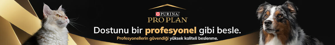 ProplanAnasayfaUzunBanner