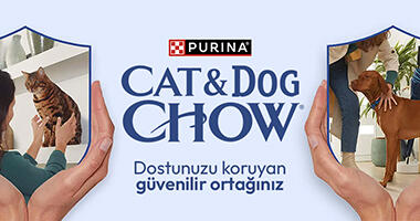 Cat & Dog Chow