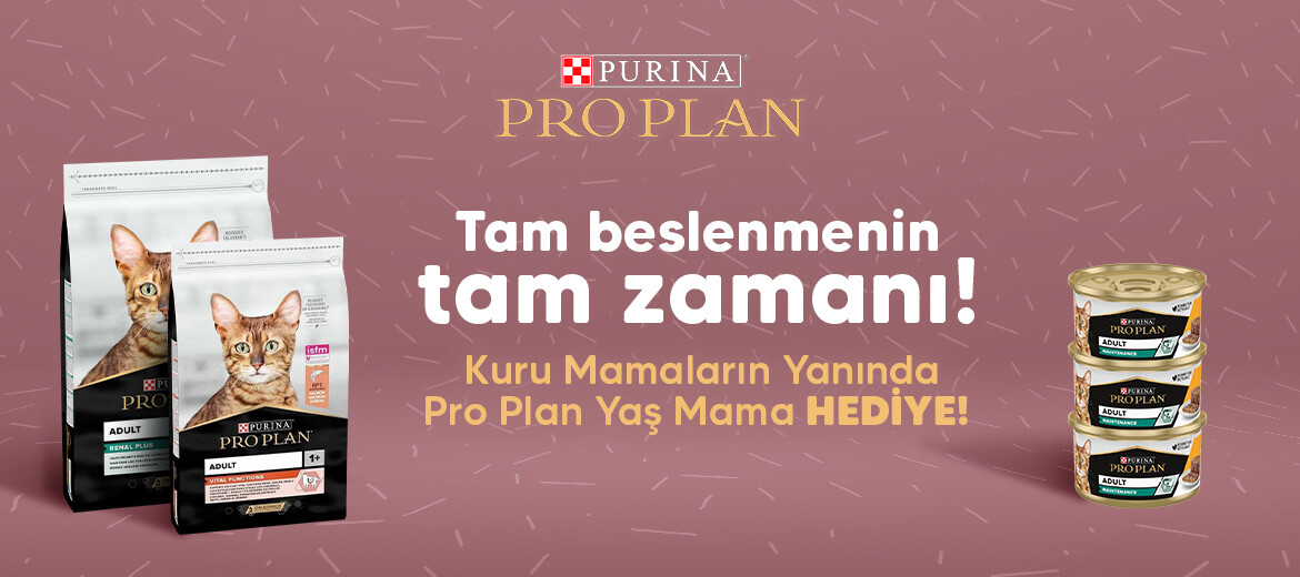 pro plan kedi yas