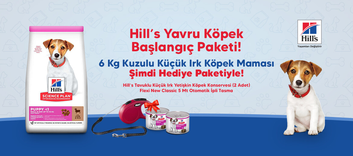 hills yavru kopek baslangic