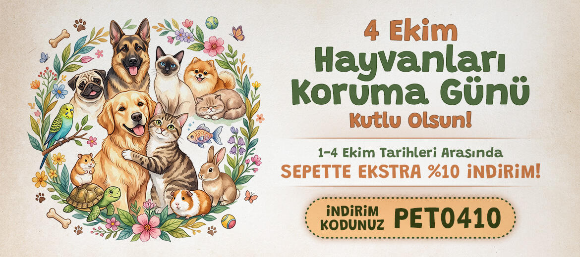 4EKİM