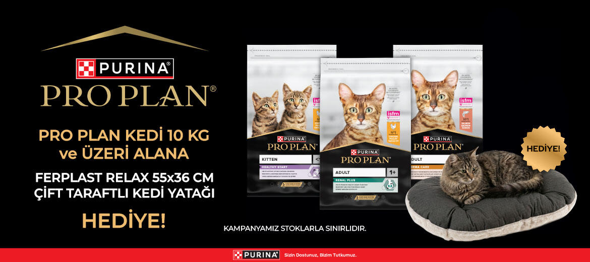 ProPlan_Yatak