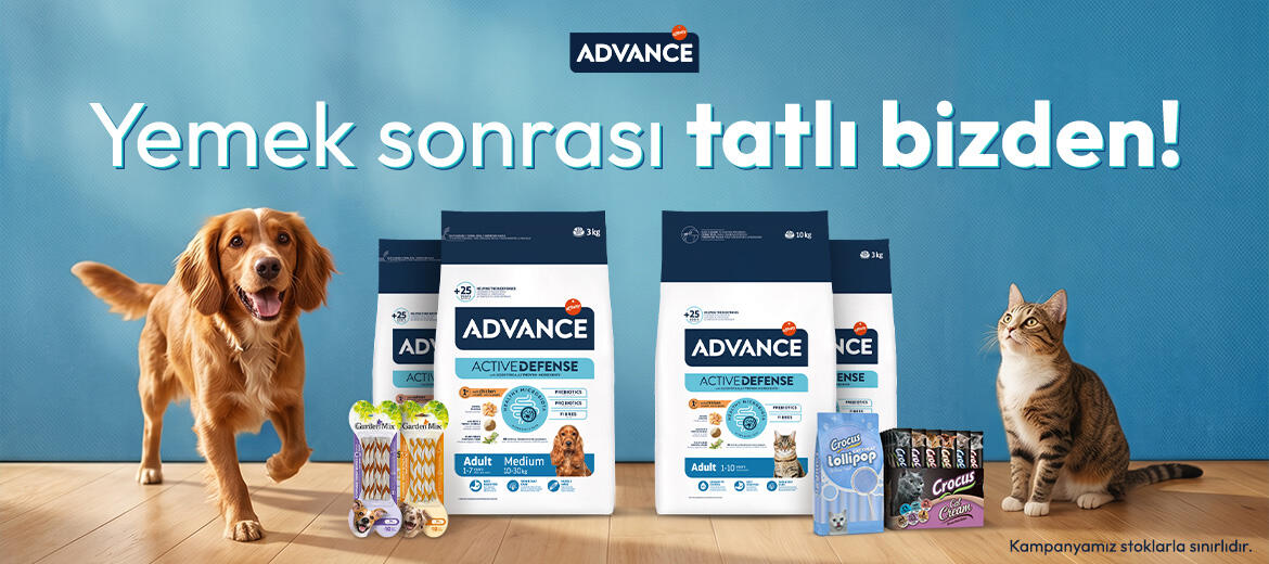 Advance_Kampanya