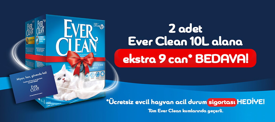Ever Clean