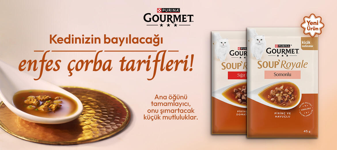 gourmet çorba