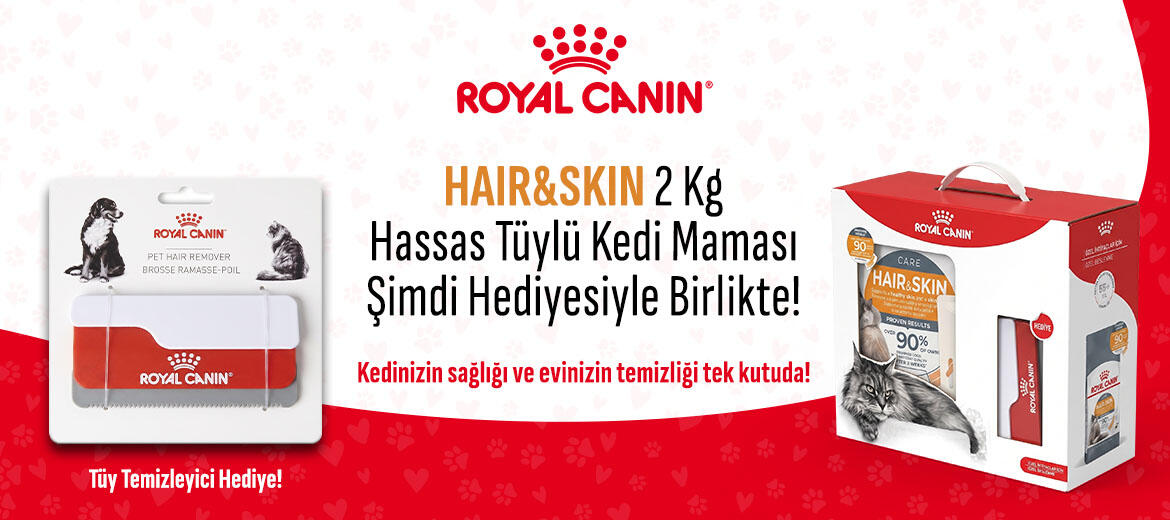 Royal_HairSkin