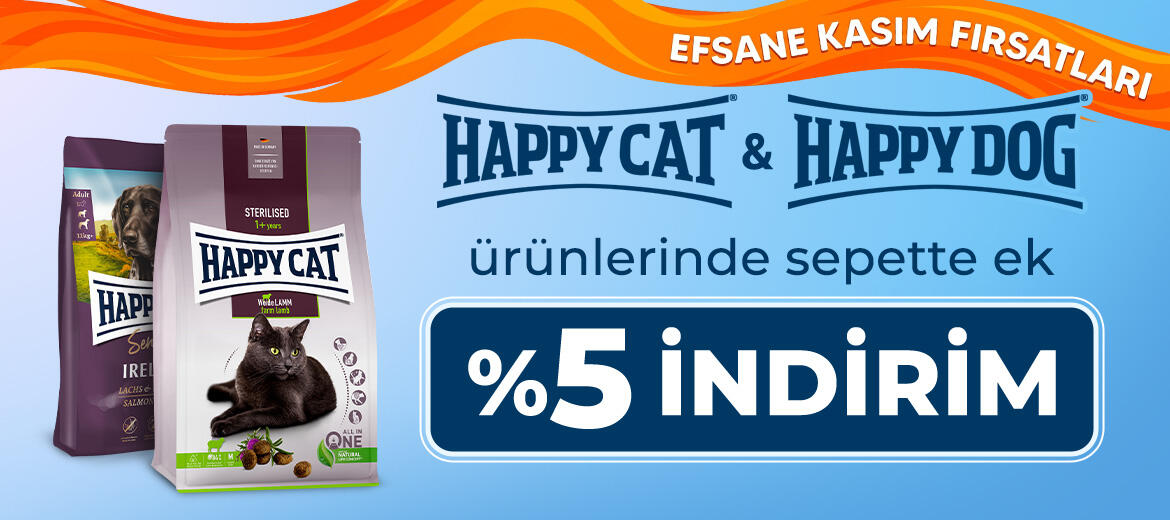 Happy Cat Happy Dog