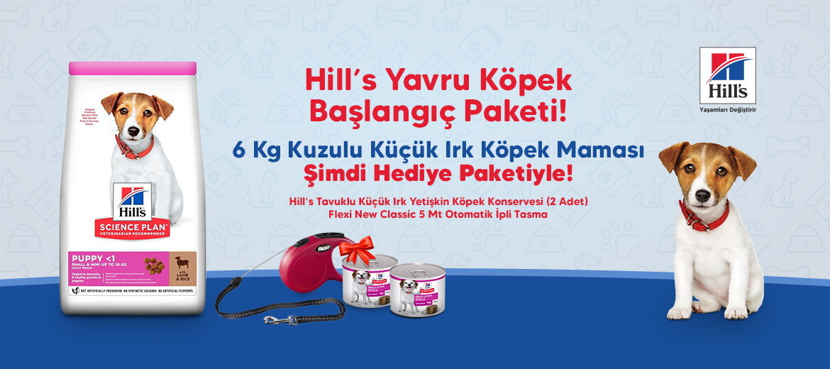 hills yavru kopek baslangic