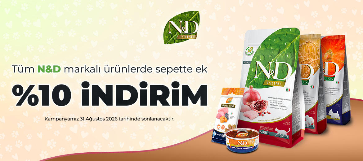 ND y10