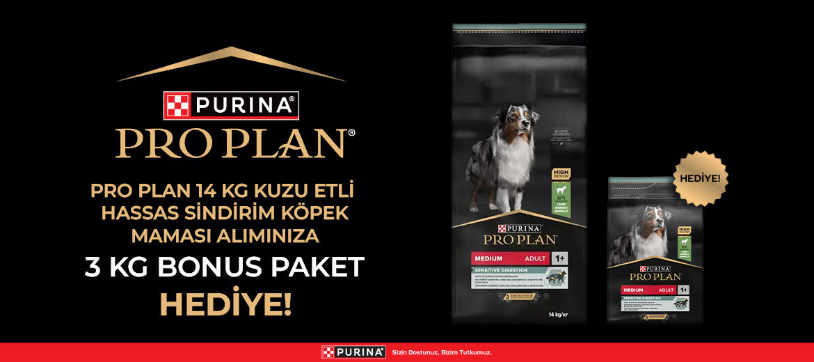 pro plan bonus lamb