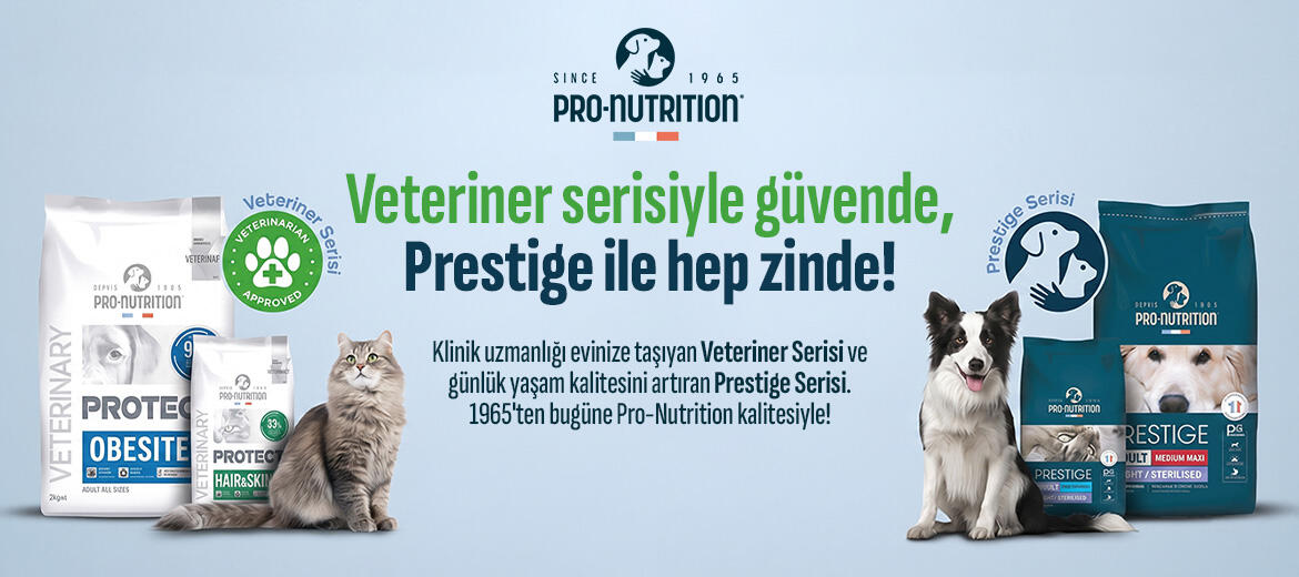 Pro Nutrition