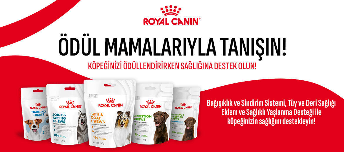 Royal ödül