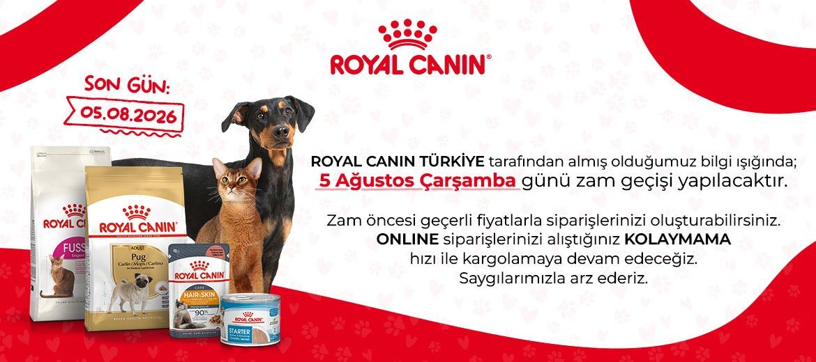 rc zam