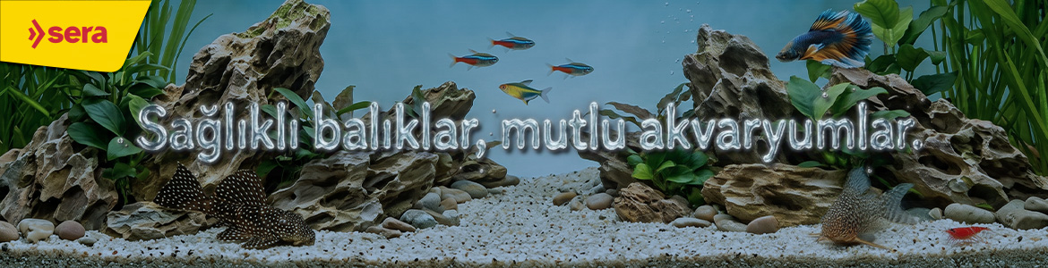 AkvaryumAnaKatBanner.jpg