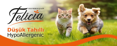 FeliciaOrta3Banner25.jpg (74 KB)