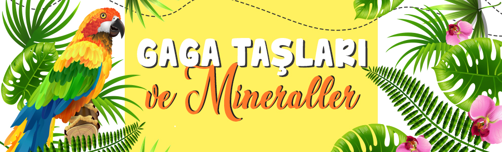 Gaga-taşları-ve-mineraller.jpg (320 KB)