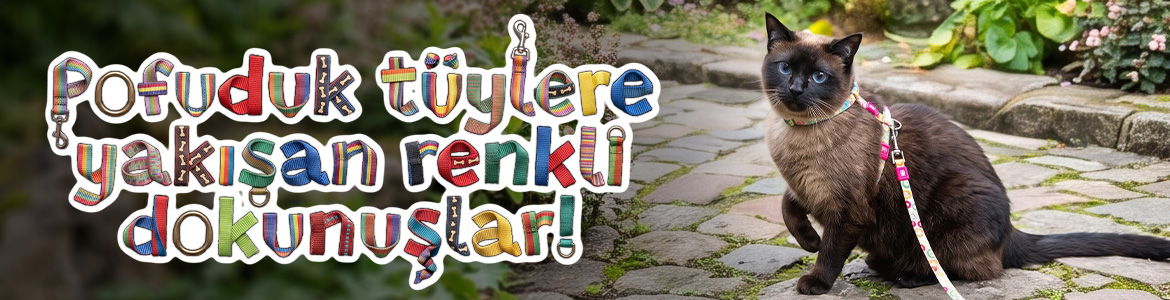 KediTasmaKatBanner.jpg