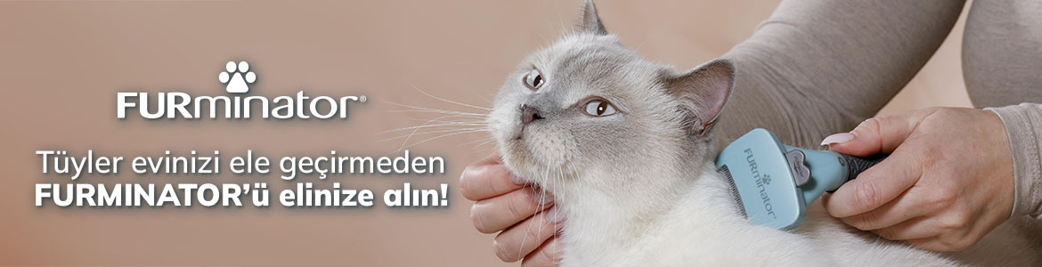 Kedi_Bakim_Banner.jpg