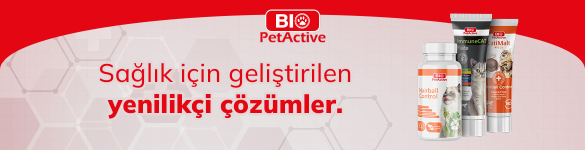 Kedi_Vitaminler_Banner.jpg