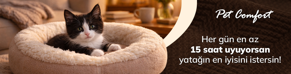 Kedi_Yatak_Banner.jpg