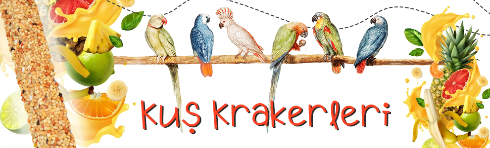 Kuş-Krakerleri.jpg (276 KB)