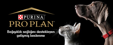 Pro_Plan_3llü.jpg (28 KB)