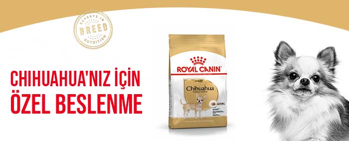 RoyalCanin_Zooplus_Chihuahua_Adult_Dry_module2_1.jpg (43 KB)