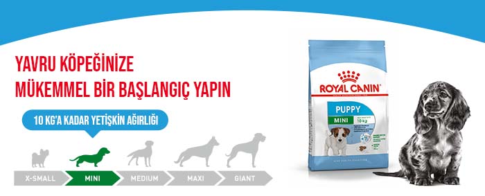 RoyalCanin_Zooplus_Puppy_Mini_Dry_module_11_1.jpg (46 KB)