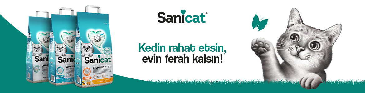 Kedi_Kumları_Sanicat_Banner.jpg