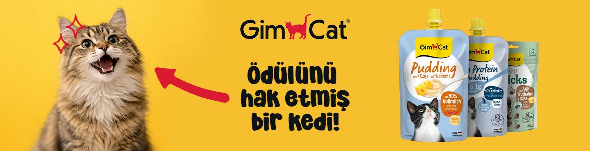 Kedi_Odul_Banner.jpg