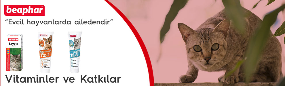 kedi-vitamin-ve-katkilar.jpg (118 KB)