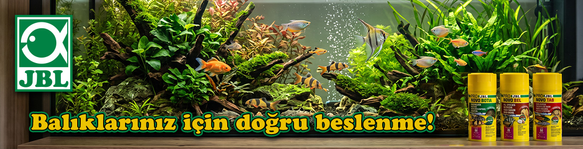 balik_yemleri_katBanner.jpg