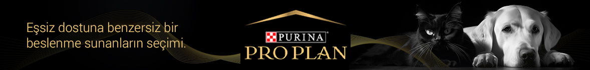 ortaUzunproplan_buyuk_banner.jpg (107 KB)