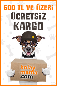 site-ici-kargov2.jpg (54 KB)