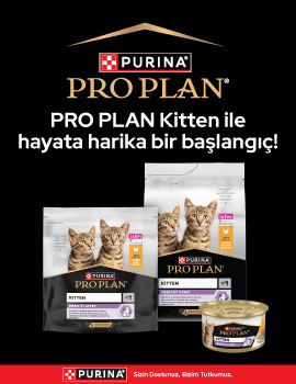 Pro Plan Kitten