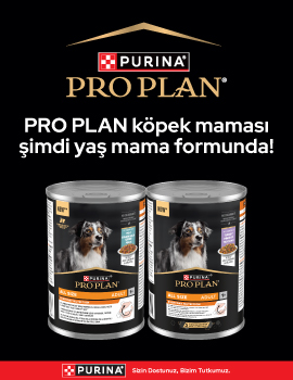 Pro Plan Yaş Köpek Mamaları