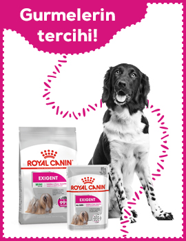 Royal Canin Exigent
