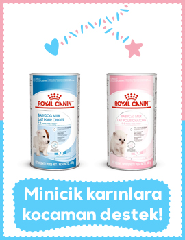 Royal Canin Süt Tozları