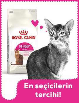 Royal Canin Kedi Exigent