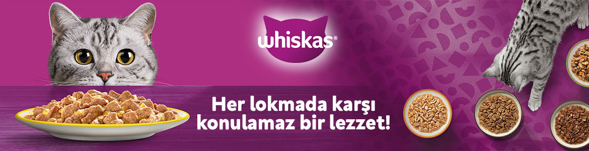 whiskas_catgbanner.jpg