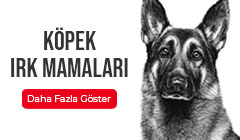 köpek-irk-mamalari.jpg (28 KB)