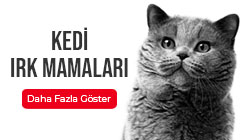 kedi-irk-mamalari.jpg (28 KB)