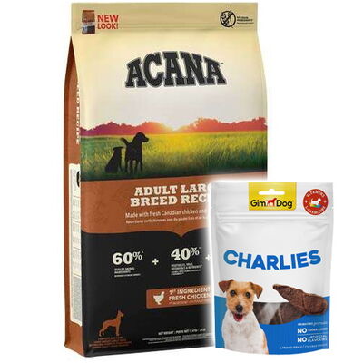 Acana Adult Large Büyük Irk Tahılsız Köpek Maması 17 Kg + Gimdog 70 Gr Köpek Ödülü - 1