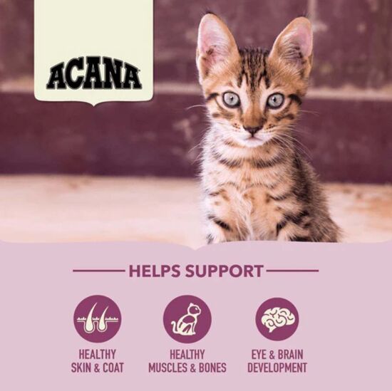 Acana First Feast Kitten Yavru Kedi Maması 1,8 Kg + Gimcat Kedi Pudingi 150 Gr - 4