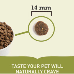 Acana Free Run Duck Ördek Etli Köpek Maması 11,4 Kg - 3