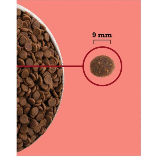 Acana Highest Protein Indoor Cat Tahılsız Kedi Maması 1,8 Kg + 2 Adet Wooc Lolipop Ödül - 5